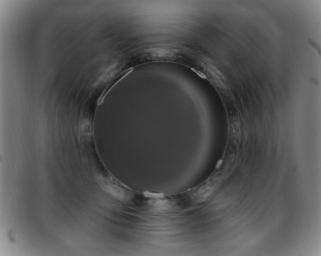 X0000097890419200803141337