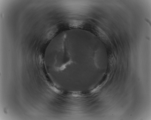 X0000097890420200803141337