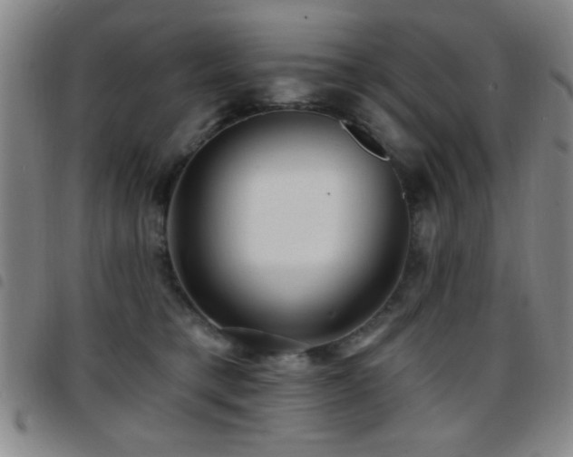 X0000097890421200803141337