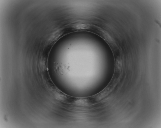 X0000097890422200803141337