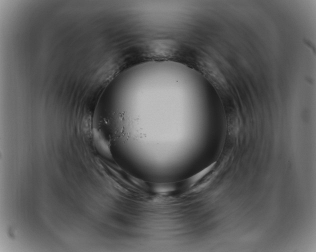 X0000097890425200803141337