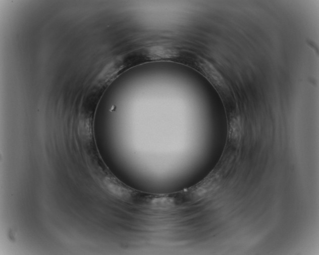 X0000097890426200803141337