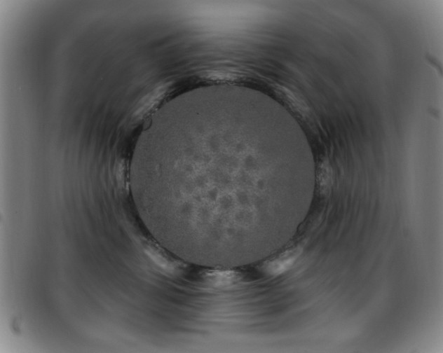 X0000097890428200803141337
