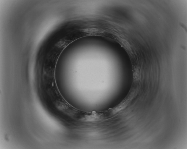 X0000097890430200803141337