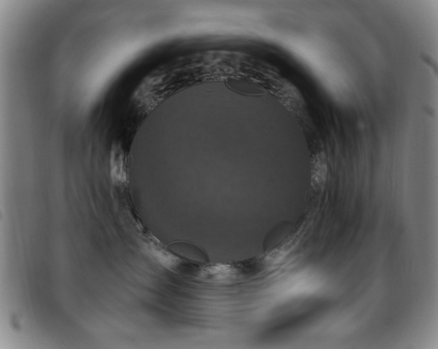 X0000097890431200803141337