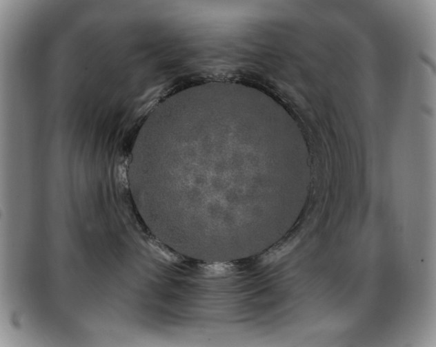 X0000097890432200803141337