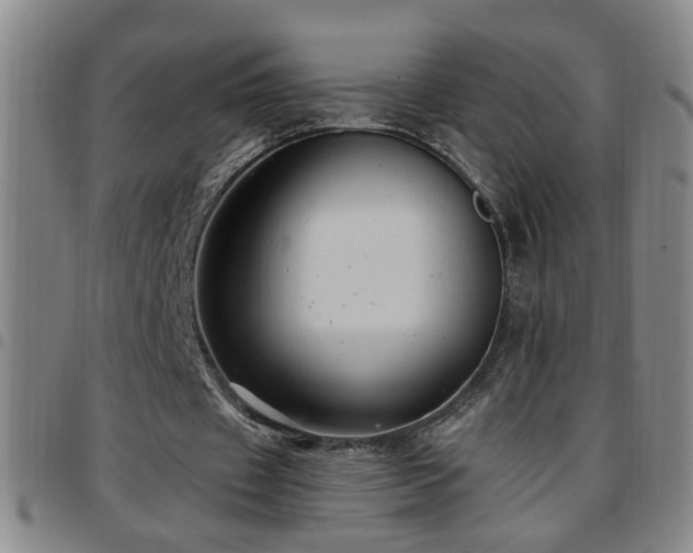X0000097890433200803141336