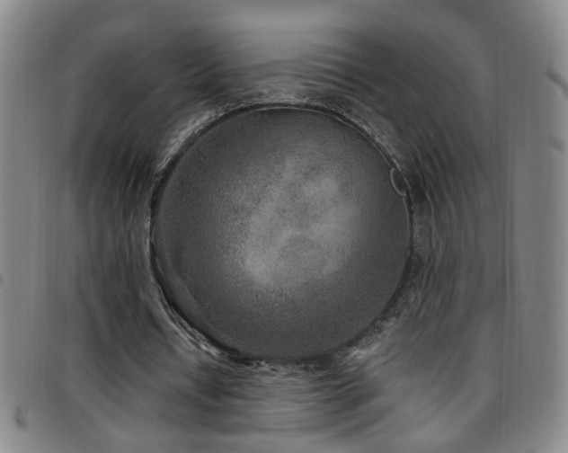 X0000097890434200803141336