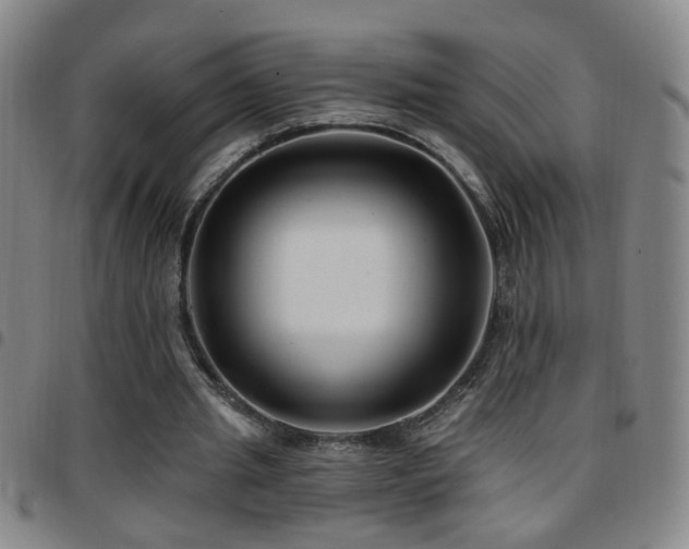 X0000097890437200803141336