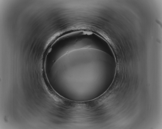X0000097890438200803141336