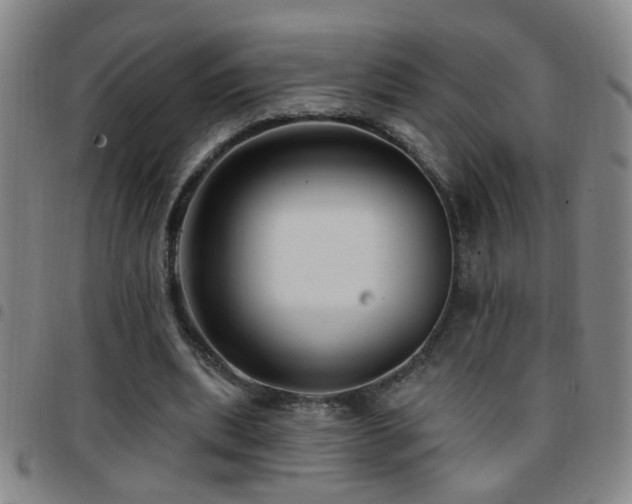 X0000097890439200803141336