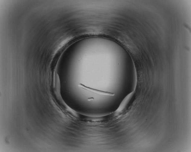 X0000097890440200803141336