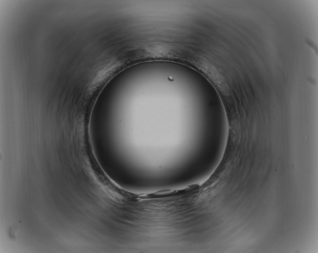 X0000097890442200803141336