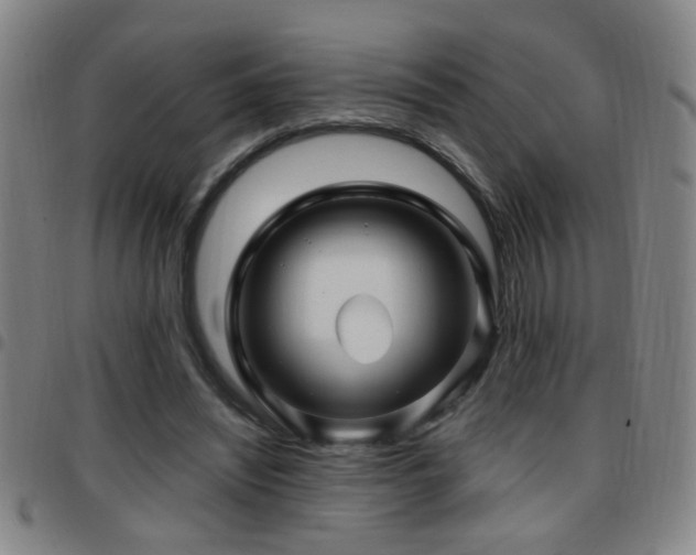 X0000097890444200803141336