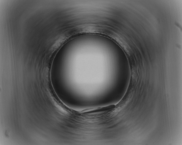 X0000097890445200803141336