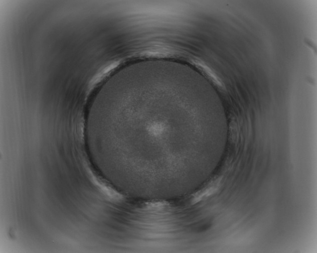 X0000097890446200803141336