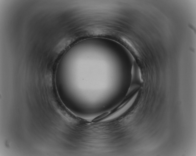 X0000097890447200803141336