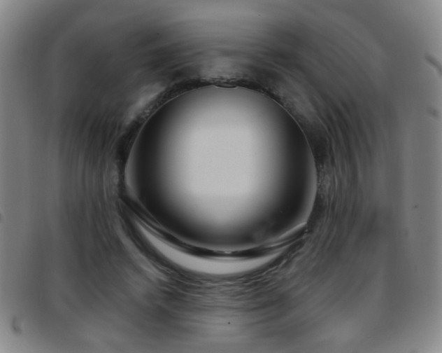 X0000097890448200803141336