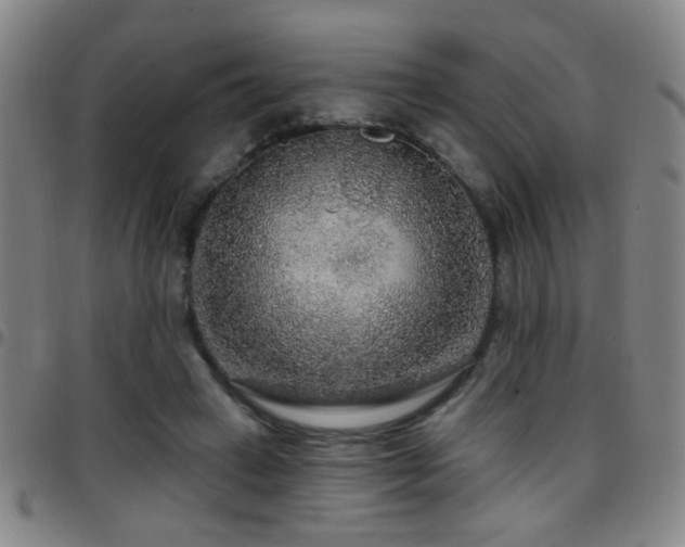 X0000097890449200803141336