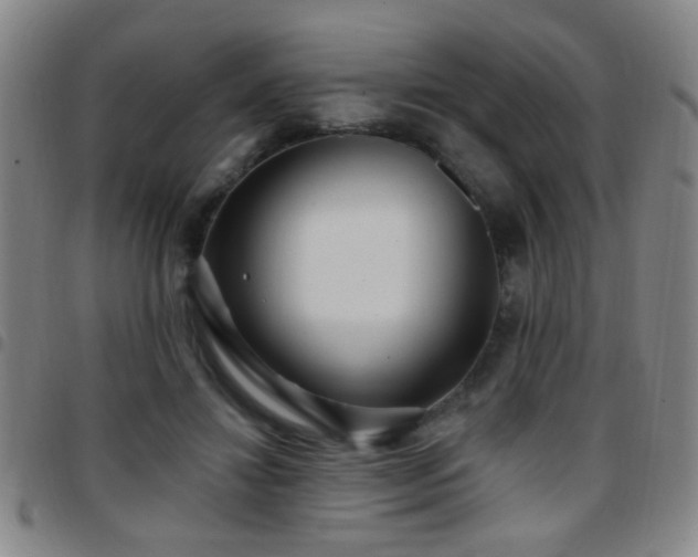 X0000097890452200803141337