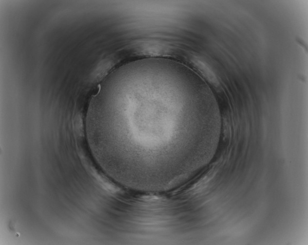 X0000097890453200803141337