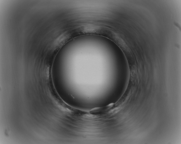 X0000097890454200803141337