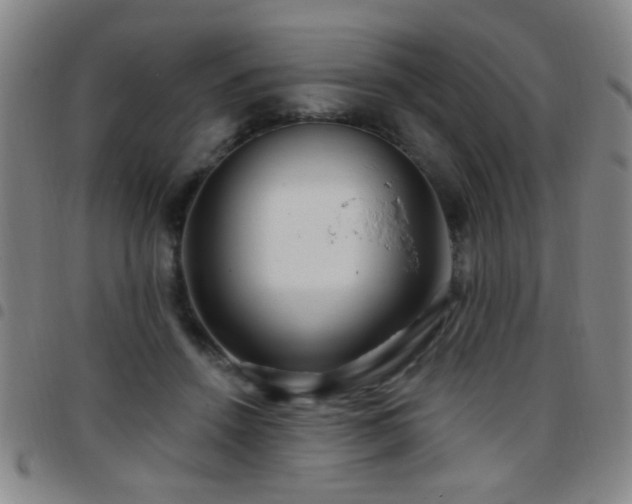 X0000097890456200803141337