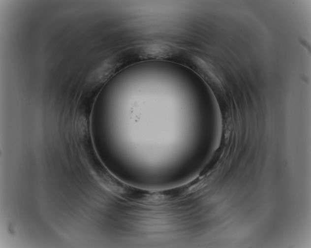 X0000097890459200803141337