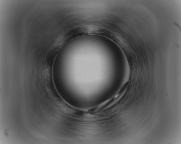 X0000097890461200803141337