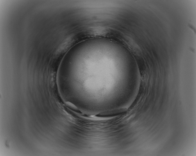 X0000097890462200803141337