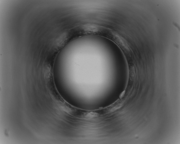 X0000097890463200803141337