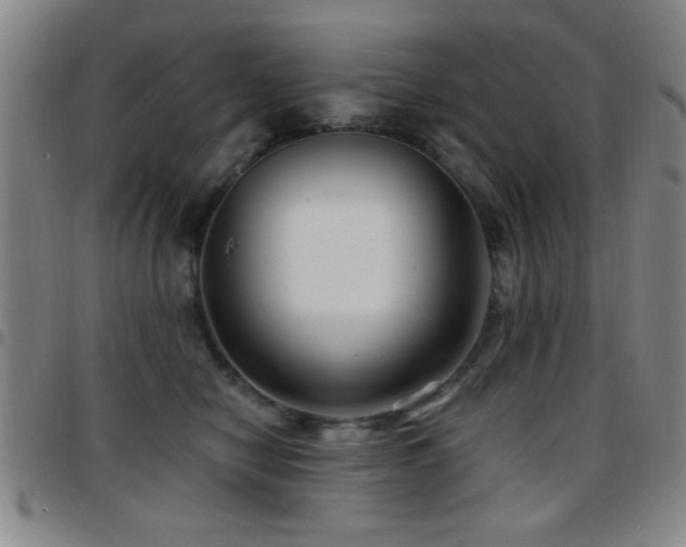 X0000097890470200803141337