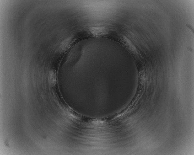 X0000097890471200803141337