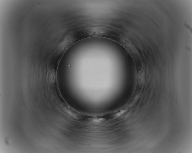 X0000097890474200803141337