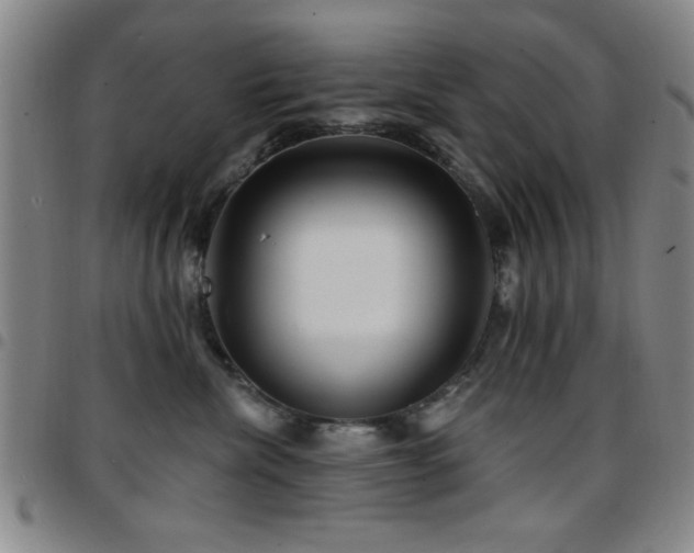 X0000097890476200803141337