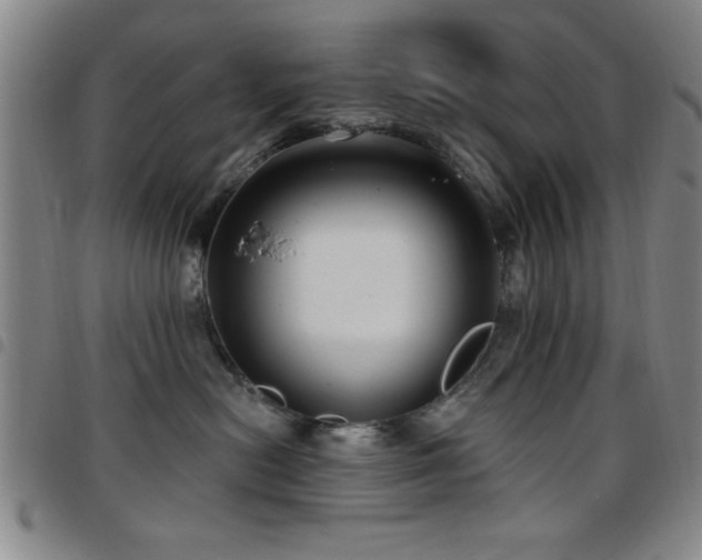 X0000097890478200803141337