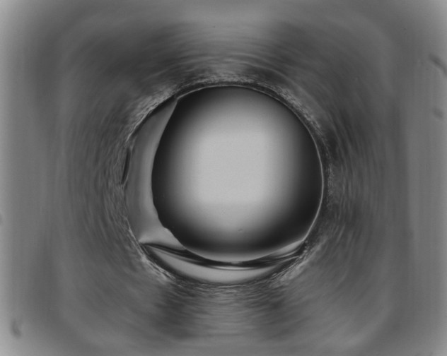 X0000097890481200803141336