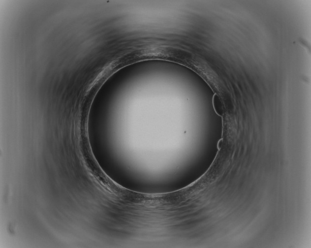X0000097890482200803141336