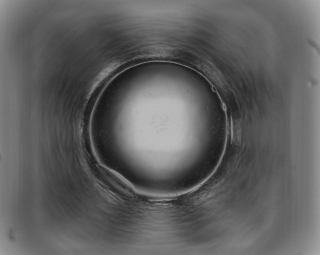 X0000097890483200803141336