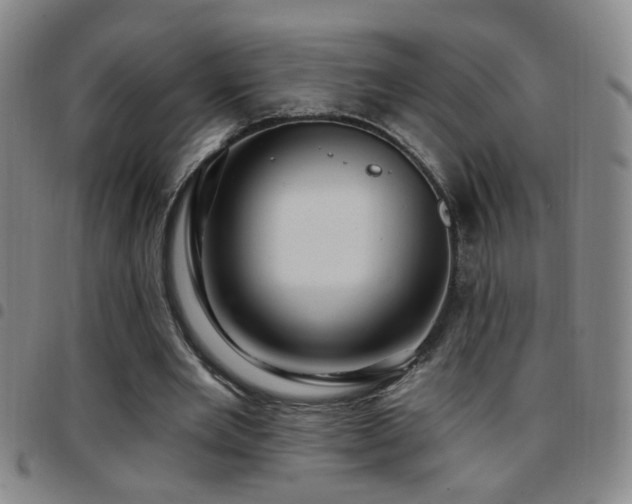 X0000097890485200803141336