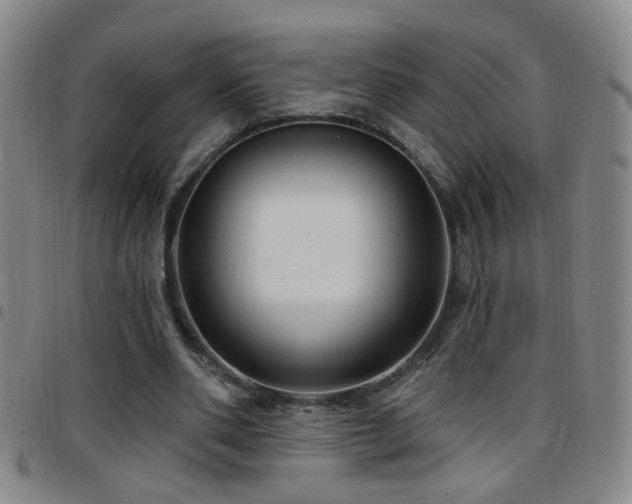 X0000097890486200803141336