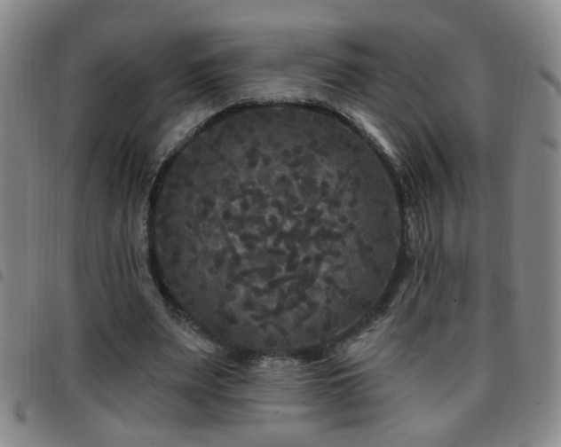 X0000097890487200803141336
