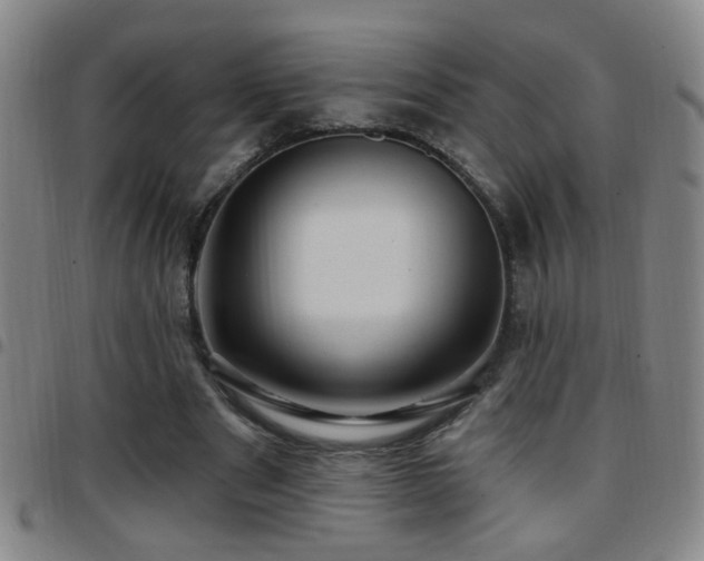 X0000097890489200803141336