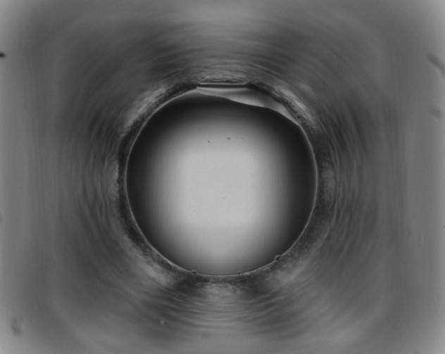 X0000097890490200803141336