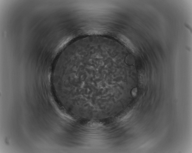 X0000097890491200803141336