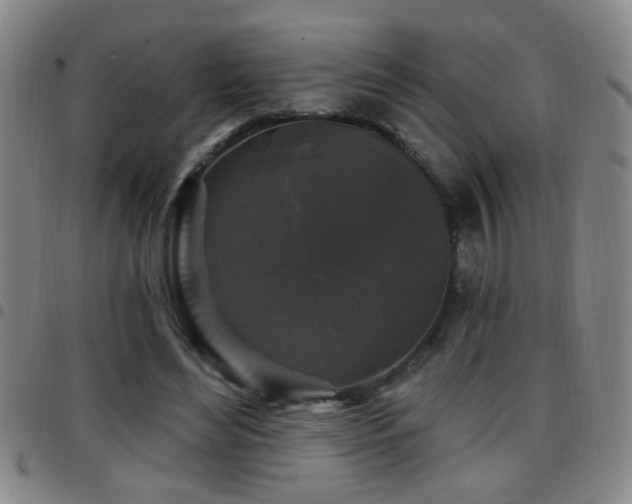 X0000097890492200803141336