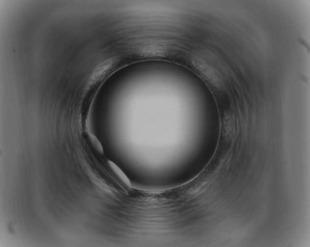 X0000097890494200803141336
