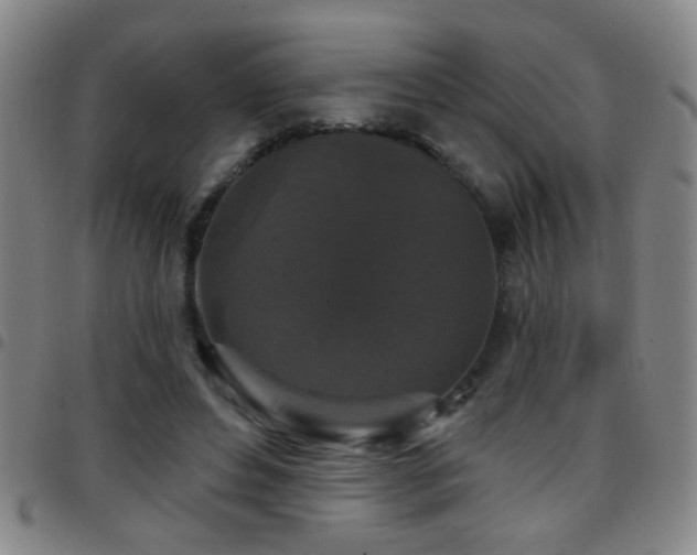 X0000097890496200803141336