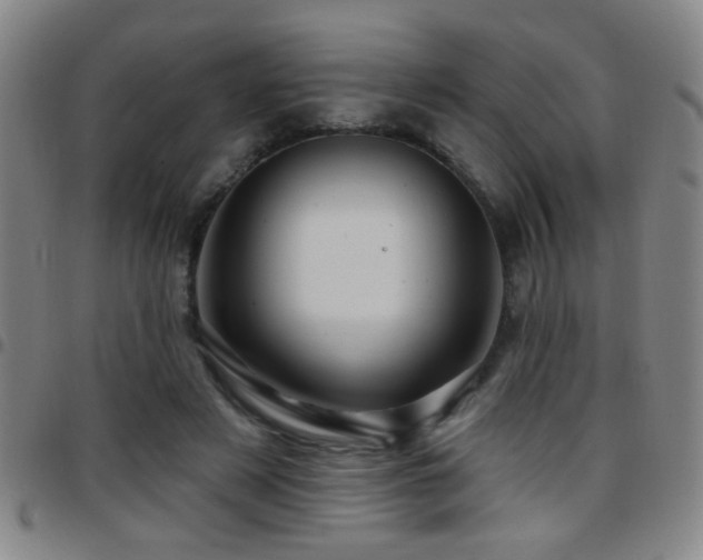X0000097890497200803141336