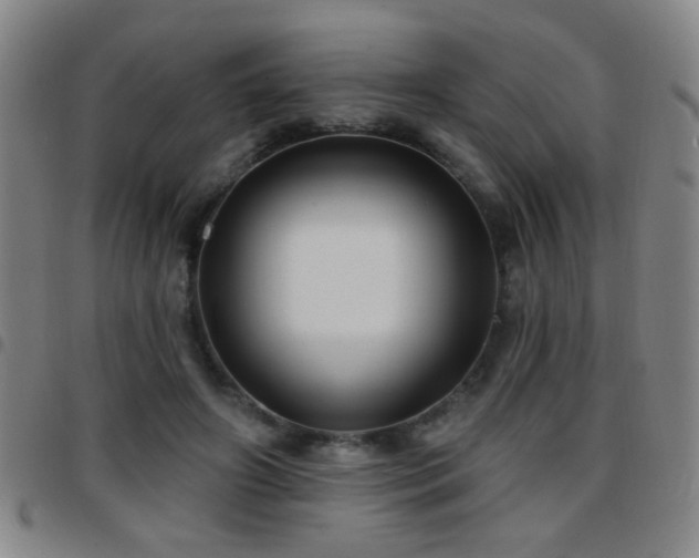 X0000097890498200803141336